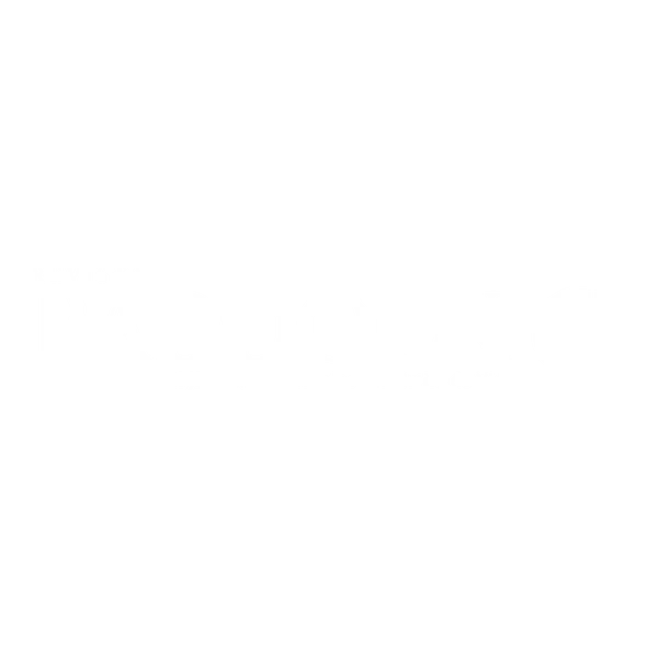 Revista Paddock